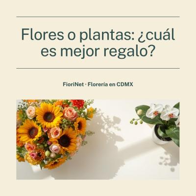 Flores naturales o plantas: cuál es mejor regalo