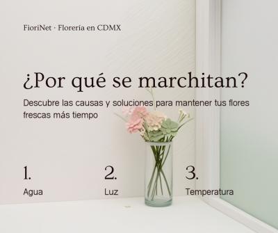 Por qué se marchitan las flores antes de tiempo (y cómo evitarlo)