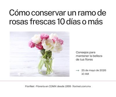 Cómo conservar un ramo de rosas frescas 10 días o más