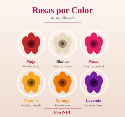 Significado de las Rosas según su Color: Guía Completa