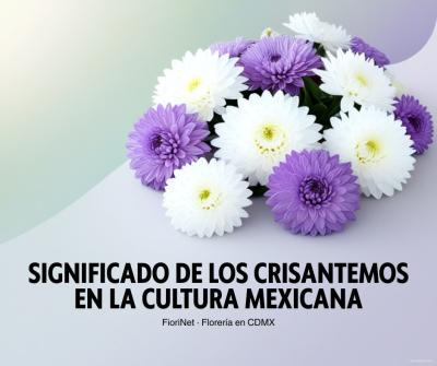 Significado de los crisantemos en la cultura mexicana