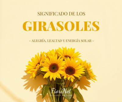Significado de los girasoles: alegría, lealtad y energía solar