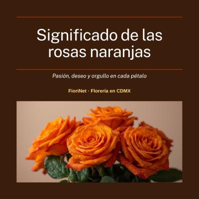 Significado de las rosas naranjas: pasión, deseo y orgullo