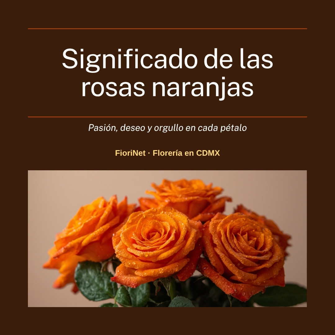 Significado de las rosas naranjas: pasión, deseo y orgullo