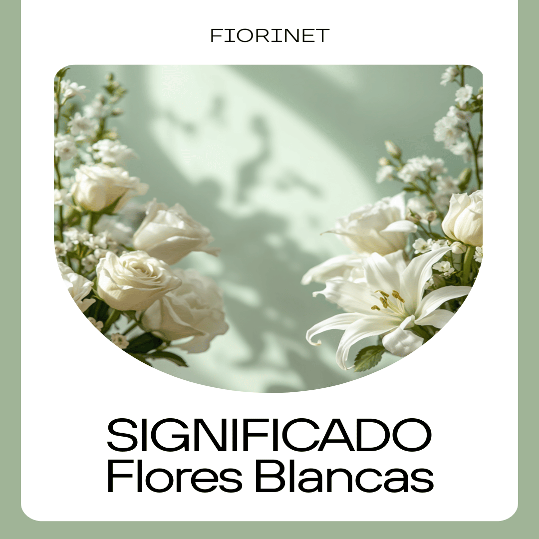 Significado de las flores blancas: bodas, paz y nuevos comienzos