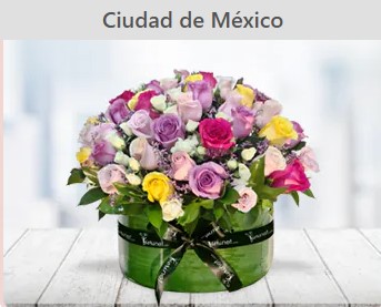 Catalogo de flores FioriNet CDMX