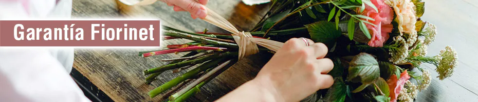 Garantía Fiorinet: satisfacción y devoluciones